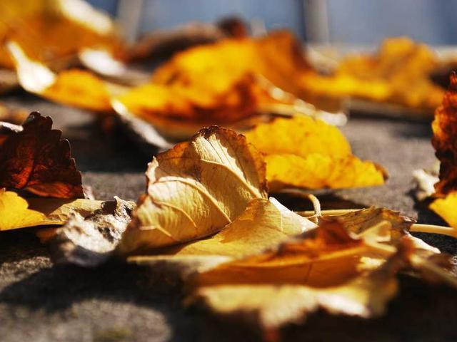 kusmawati_cornelia_4WYv